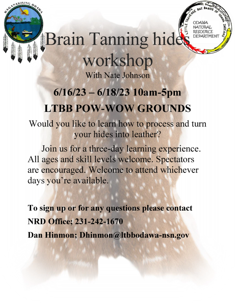 Brain Tanning Hides Workshop